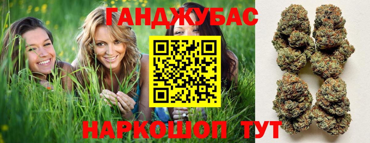 Конопля план  Конопля гибрид  Вход с VPN  Бошки марихуана марихуана  Каннабис THC 21%  Строитель 